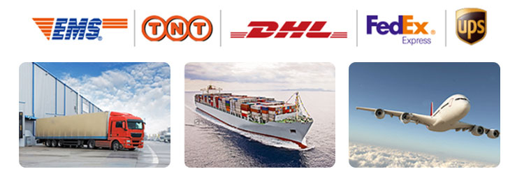 Qc11k-6x2500 Metal Guillotine Shear Guillotine Shearing Machine Qc11k-6x2500 Металлические гильотинные ножницы Гильотинные ножницы